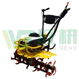 Roj Qos Yaj Ywm Tiller / Roj Roj Cav Tsav Txheeb Kom Sov Teb